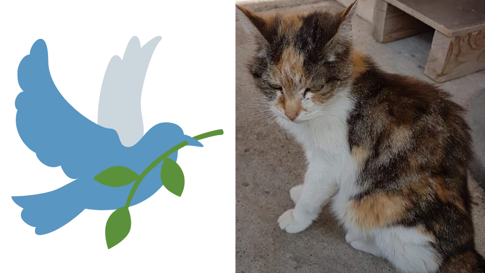 Venus, Uta und Balduin